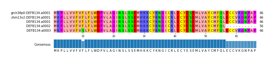 Multiple Alignments (by translate haplotype frequency)