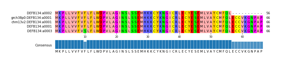 Multiple Alignments (by translate haplotype similarity)