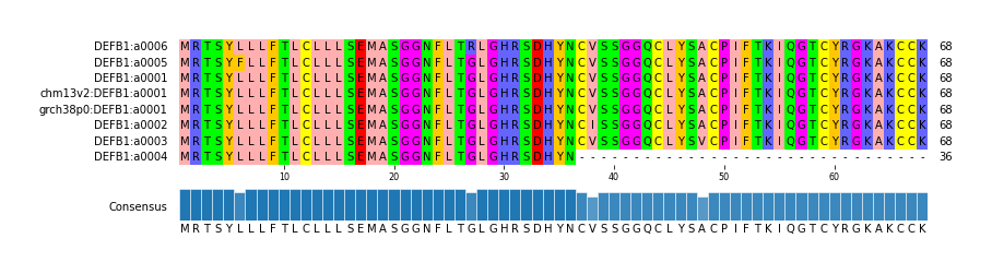 Multiple Alignments (by translate haplotype similarity)