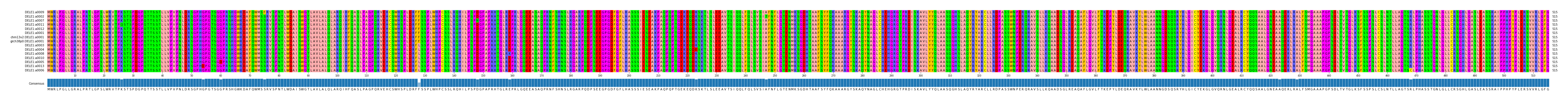 Multiple Alignments (by translate haplotype similarity)