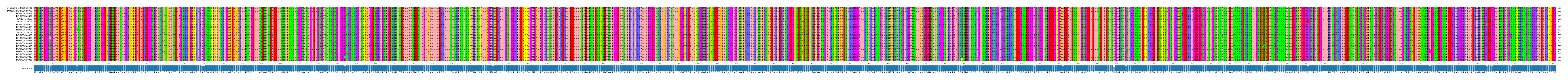 Multiple Alignments (by translate haplotype frequency)