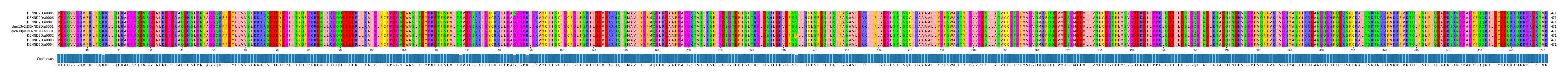 Multiple Alignments (by translate haplotype similarity)