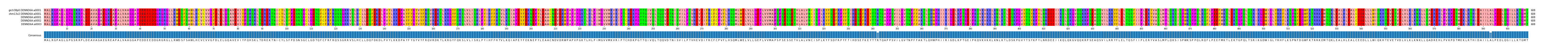 Multiple Alignments (by translate haplotype frequency)