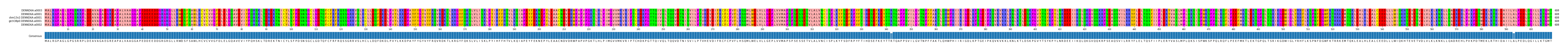 Multiple Alignments (by translate haplotype similarity)