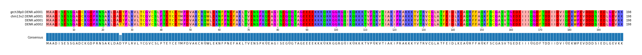 Multiple Alignments (by translate haplotype similarity)