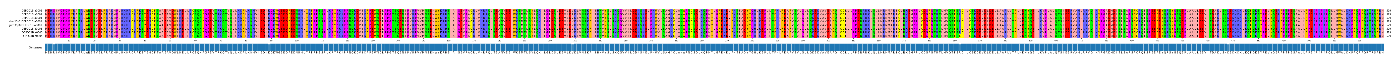 Multiple Alignments (by translate haplotype similarity)
