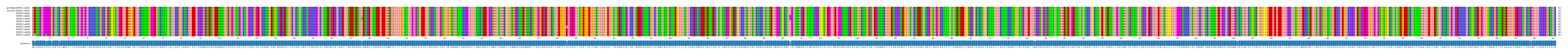 Multiple Alignments (by translate haplotype frequency)
