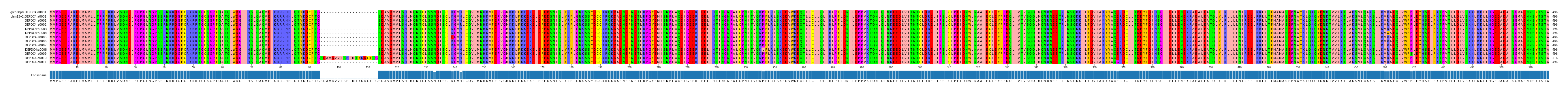 Multiple Alignments (by translate haplotype frequency)