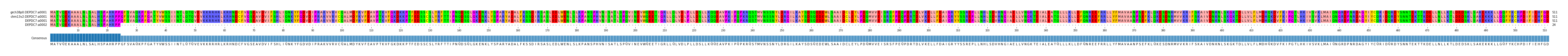 Multiple Alignments (by translate haplotype similarity)