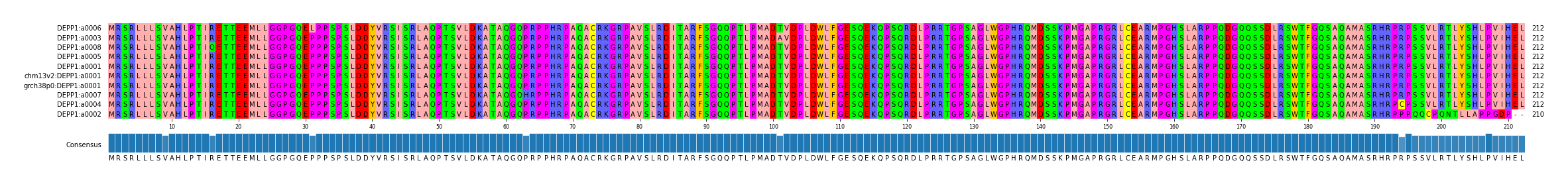 Multiple Alignments (by translate haplotype similarity)