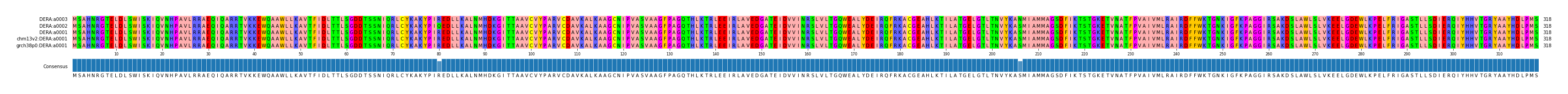 Multiple Alignments (by translate haplotype similarity)