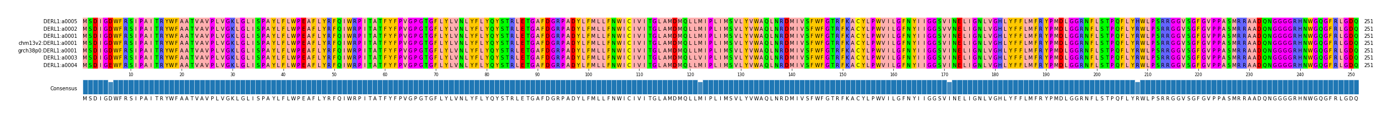 Multiple Alignments (by translate haplotype similarity)