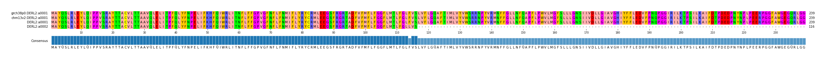 Multiple Alignments (by translate haplotype similarity)