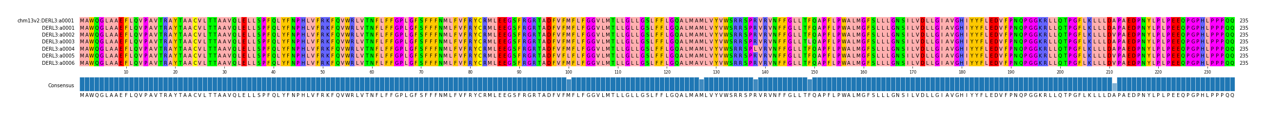 Multiple Alignments (by translate haplotype frequency)