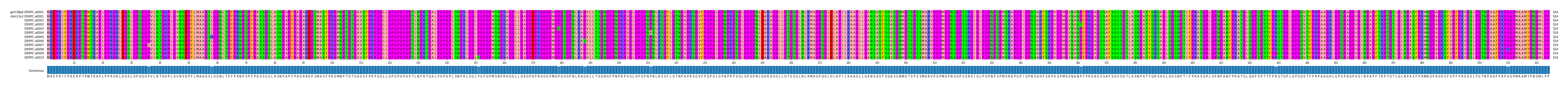 Multiple Alignments (by translate haplotype frequency)