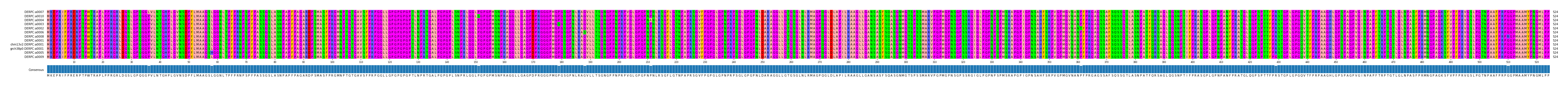 Multiple Alignments (by translate haplotype similarity)