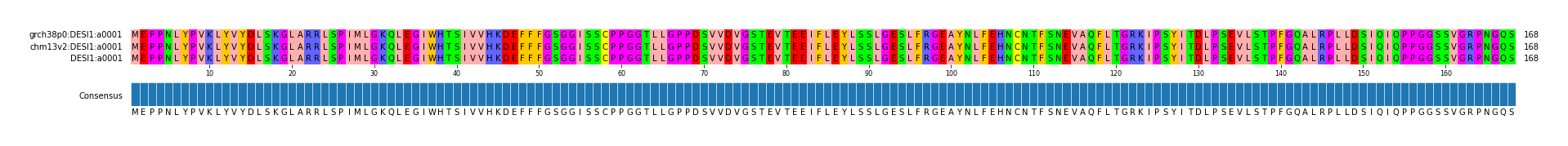 Multiple Alignments (by translate haplotype similarity)