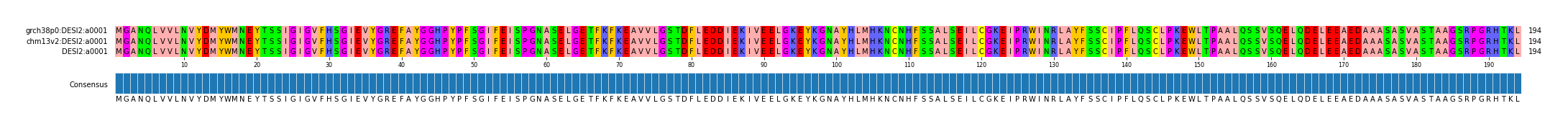 Multiple Alignments (by translate haplotype similarity)