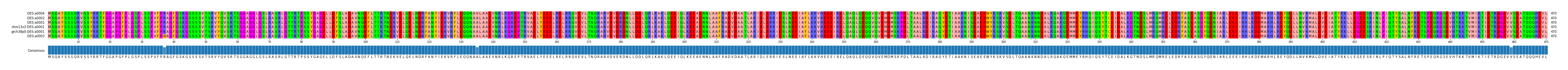 Multiple Alignments (by translate haplotype similarity)