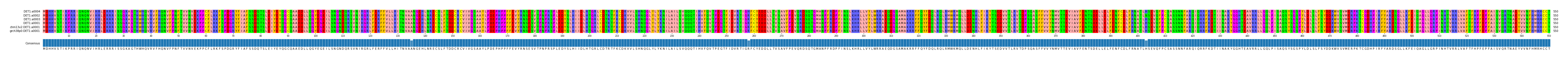 Multiple Alignments (by translate haplotype similarity)