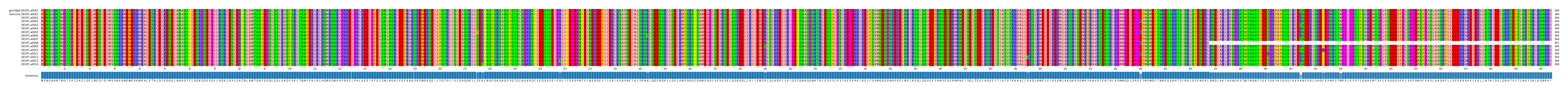 Multiple Alignments (by translate haplotype frequency)