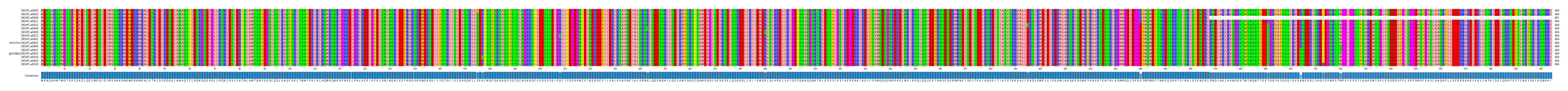 Multiple Alignments (by translate haplotype similarity)