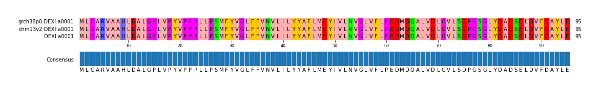 Multiple Alignments (by translate haplotype similarity)