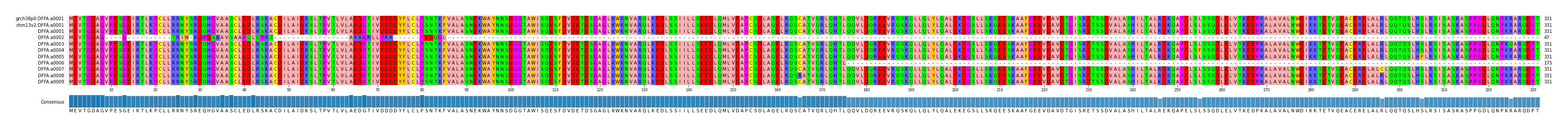 Multiple Alignments (by translate haplotype frequency)
