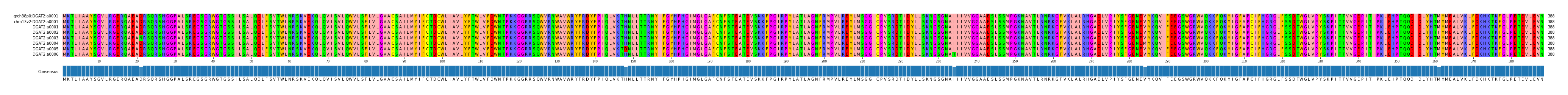 Multiple Alignments (by translate haplotype frequency)