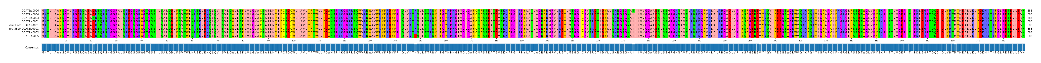 Multiple Alignments (by translate haplotype similarity)