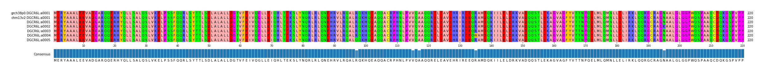 Multiple Alignments (by translate haplotype frequency)