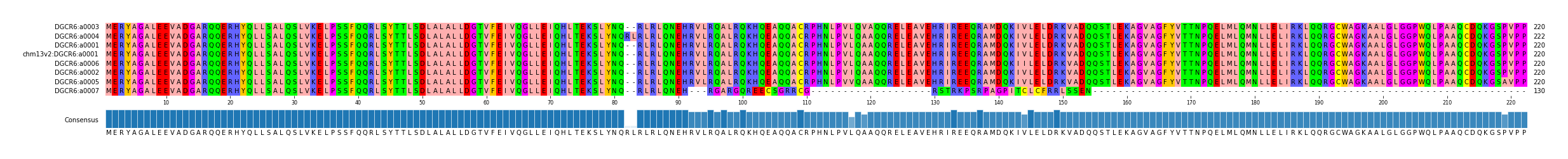 Multiple Alignments (by translate haplotype similarity)