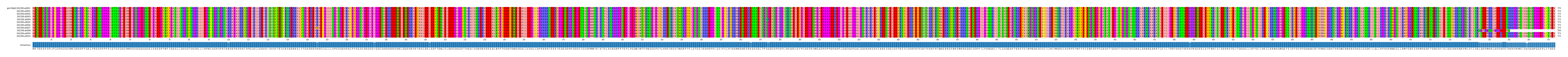 Multiple Alignments (by translate haplotype frequency)