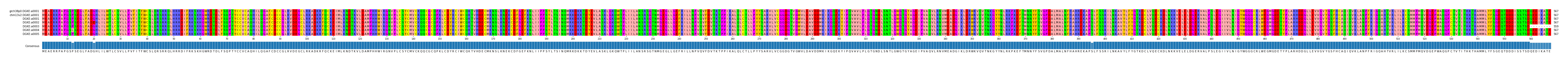 Multiple Alignments (by translate haplotype frequency)