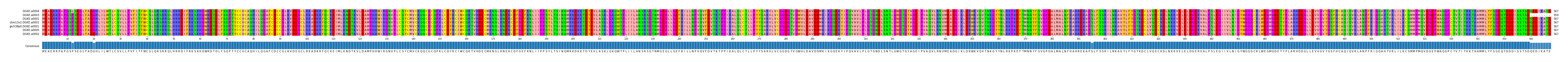 Multiple Alignments (by translate haplotype similarity)