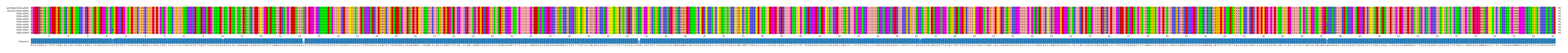 Multiple Alignments (by translate haplotype frequency)