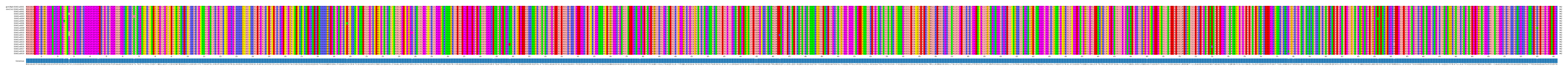 Multiple Alignments (by translate haplotype frequency)