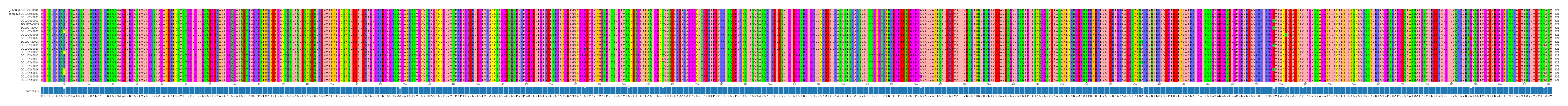 Multiple Alignments (by translate haplotype frequency)
