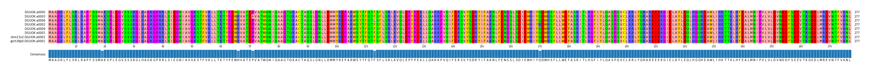 Multiple Alignments (by translate haplotype similarity)