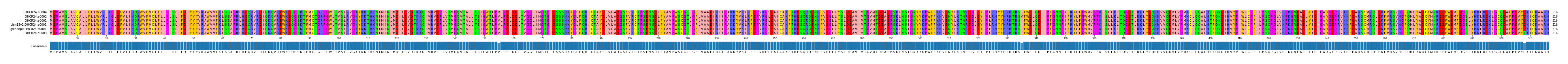 Multiple Alignments (by translate haplotype similarity)