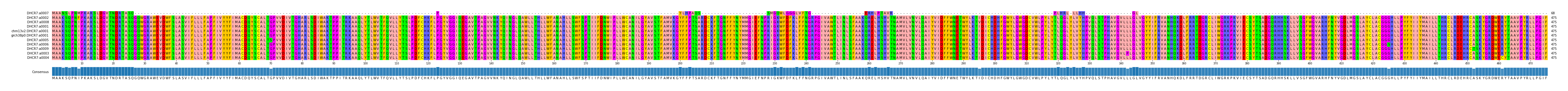 Multiple Alignments (by translate haplotype similarity)