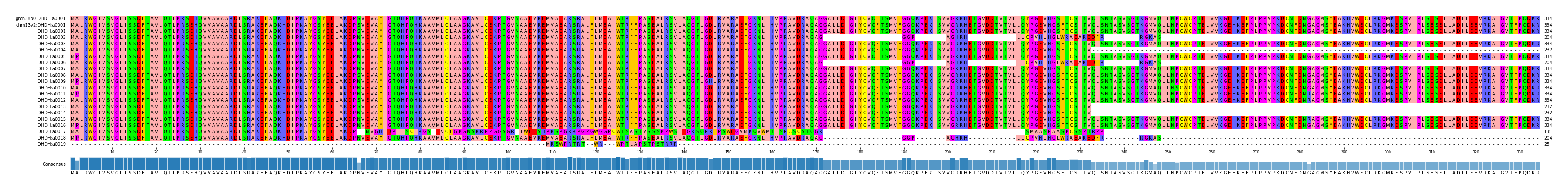 Multiple Alignments (by translate haplotype frequency)