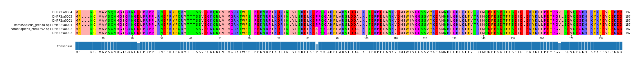Multiple Alignments (by translate haplotype similarity)