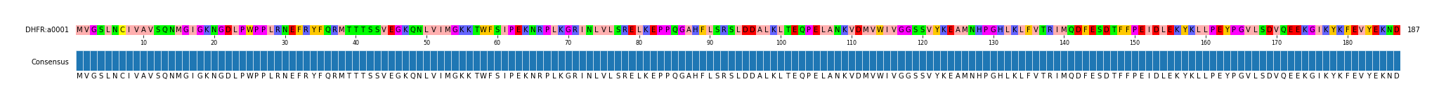 Multiple Alignments (by translate haplotype similarity)