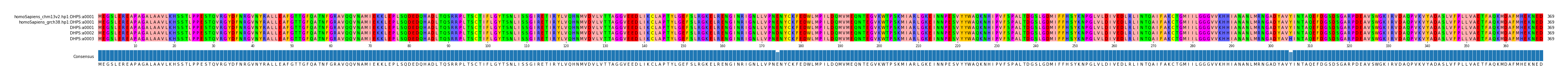 Multiple Alignments (by translate haplotype frequency)