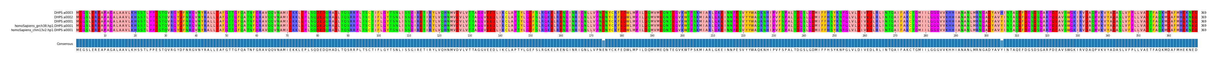 Multiple Alignments (by translate haplotype similarity)