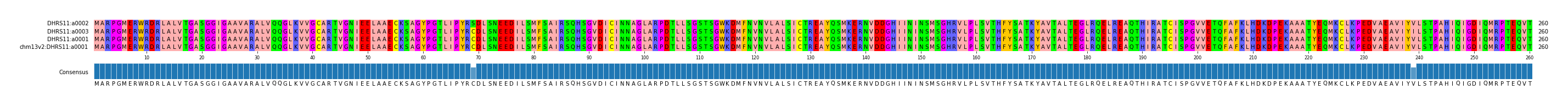 Multiple Alignments (by translate haplotype similarity)