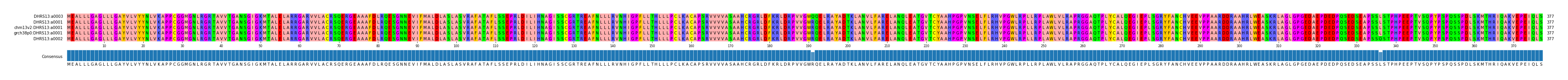 Multiple Alignments (by translate haplotype similarity)