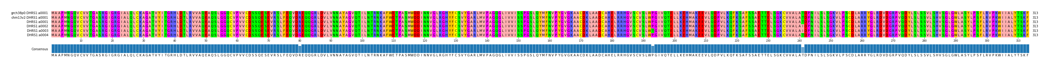 Multiple Alignments (by translate haplotype frequency)