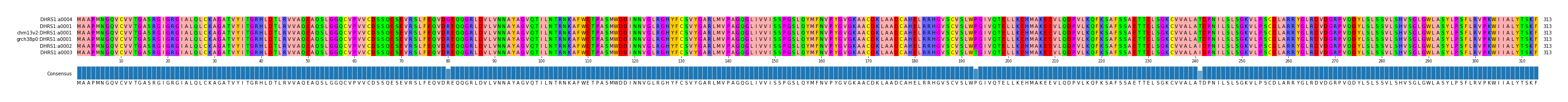 Multiple Alignments (by translate haplotype similarity)